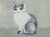 Illustration040