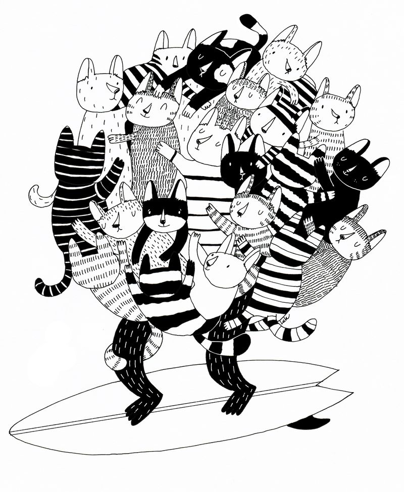 surf cats